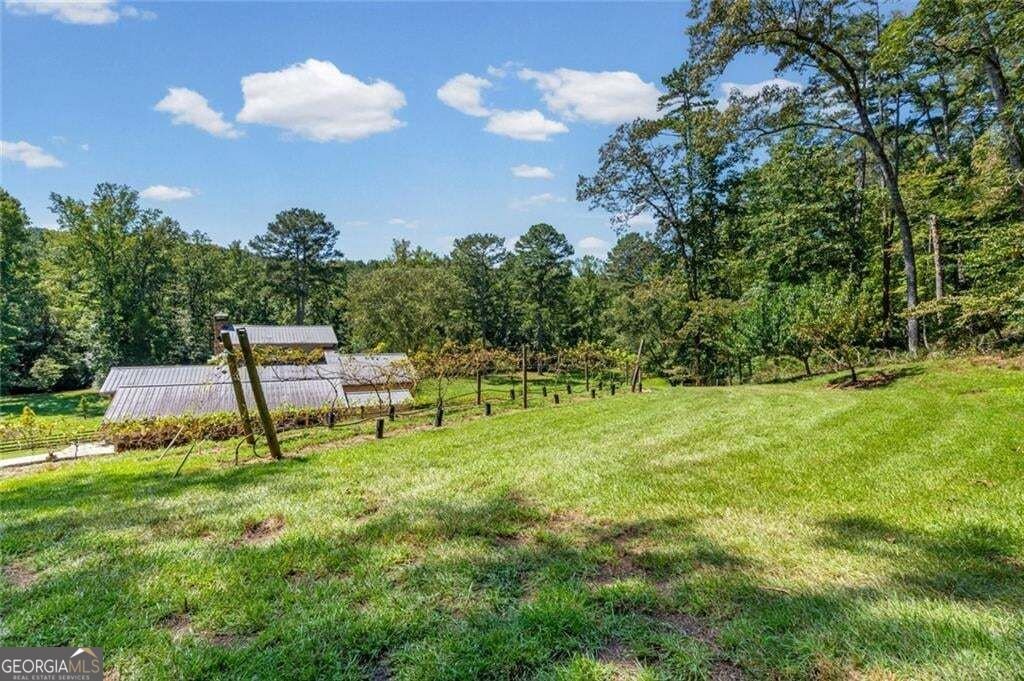25 Clayton Chester Road Dawsonville - Photo 54
