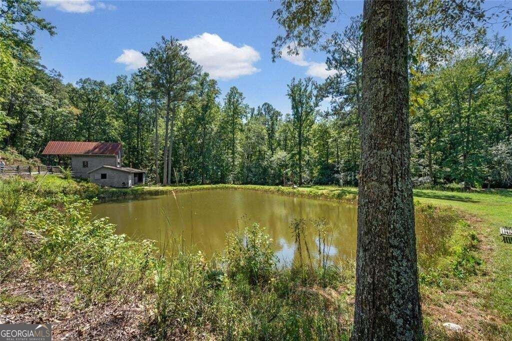 25 Clayton Chester Road Dawsonville - Photo 55