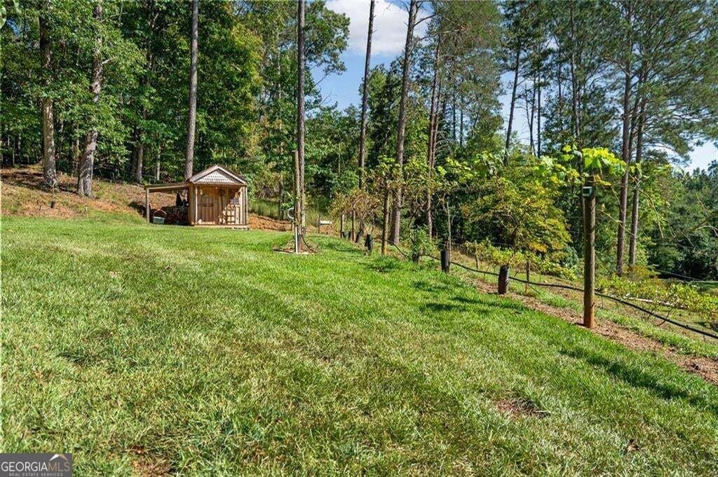 25 Clayton Chester Road Dawsonville - Photo 56