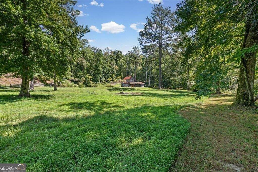 25 Clayton Chester Road Dawsonville - Photo 58