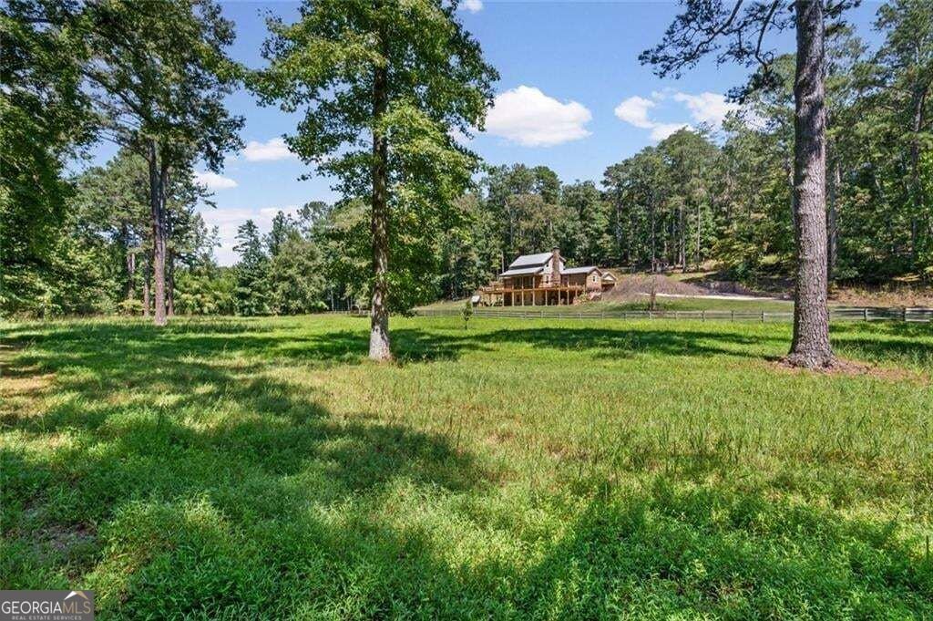 25 Clayton Chester Road Dawsonville - Photo 59