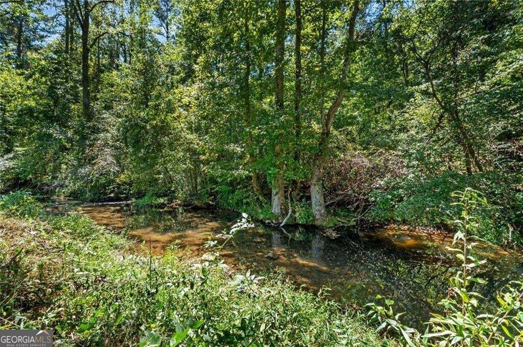 25 Clayton Chester Road Dawsonville - Photo 6