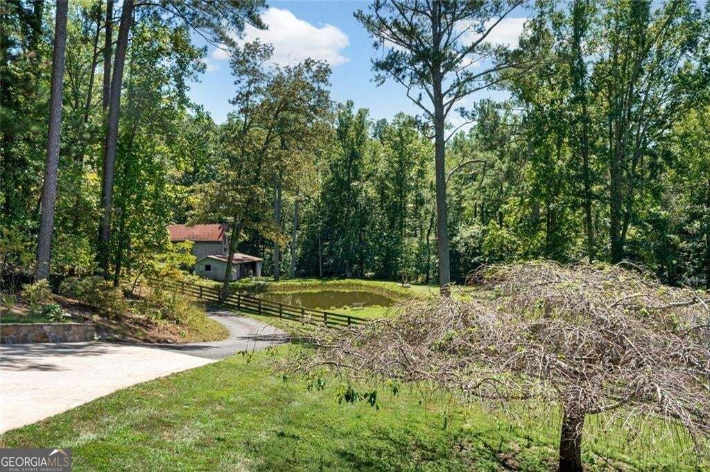 25 Clayton Chester Road Dawsonville - Photo 63