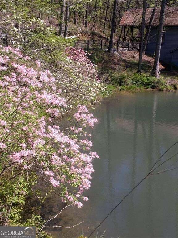 25 Clayton Chester Road Dawsonville - Photo 91