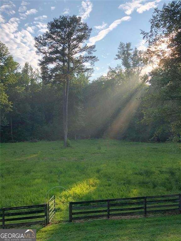 25 Clayton Chester Road Dawsonville - Photo 97