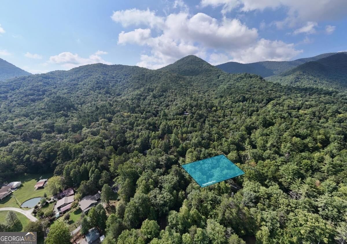 4354 Wildcat Lane Hiawassee - Photo 18