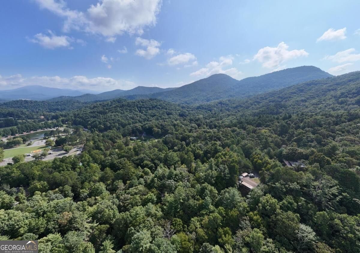 754 Ruby Lake Drive Hiawassee - Photo 45