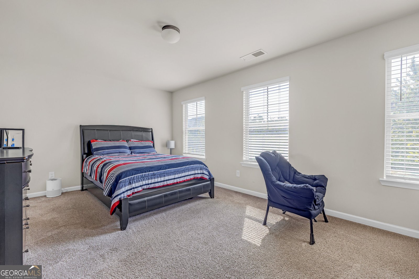 161 Magnaview Drive McDonough - Photo 28