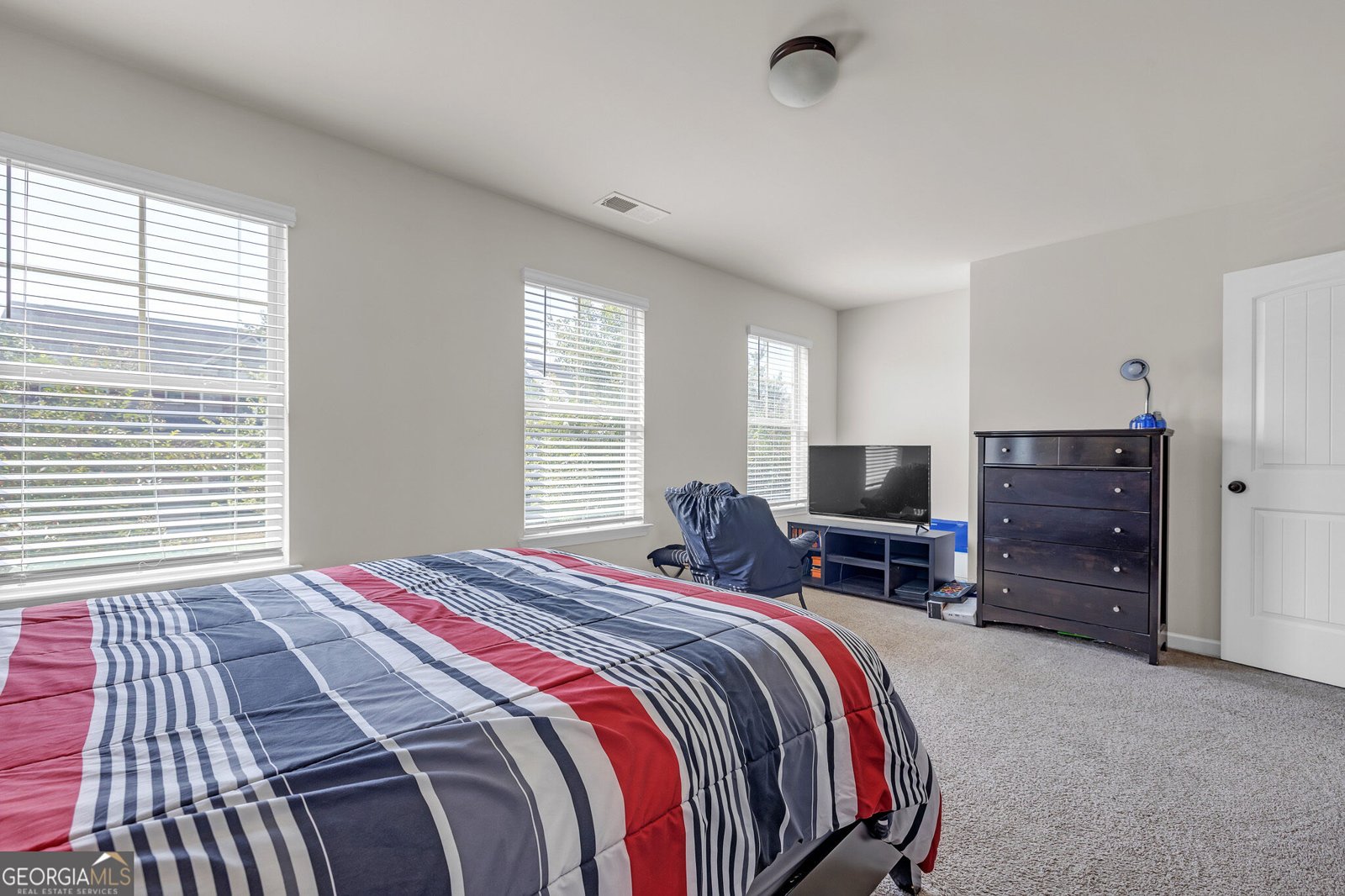161 Magnaview Drive McDonough - Photo 29