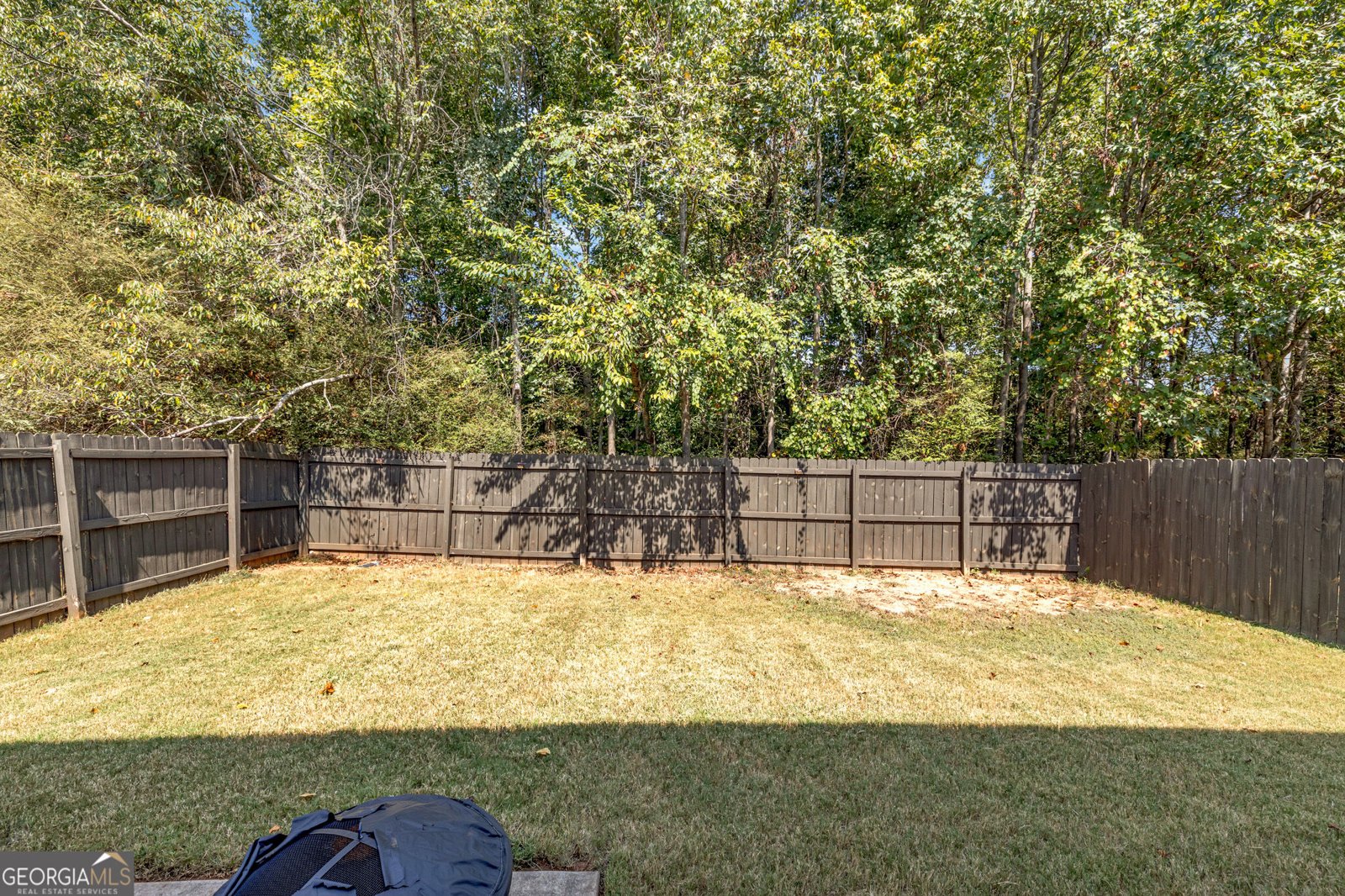 161 Magnaview Drive McDonough - Photo 33