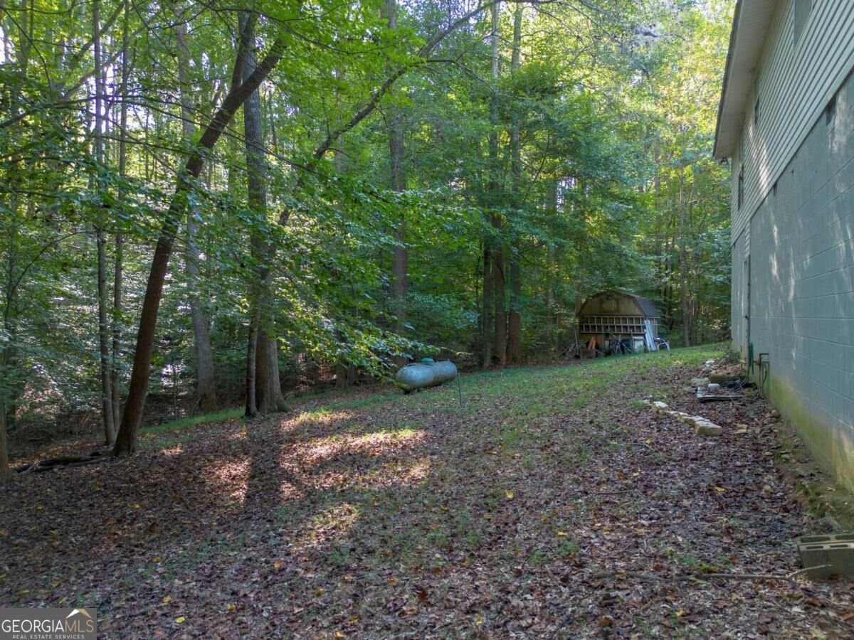 345 Jesse Martin Trail Canton - Photo 16