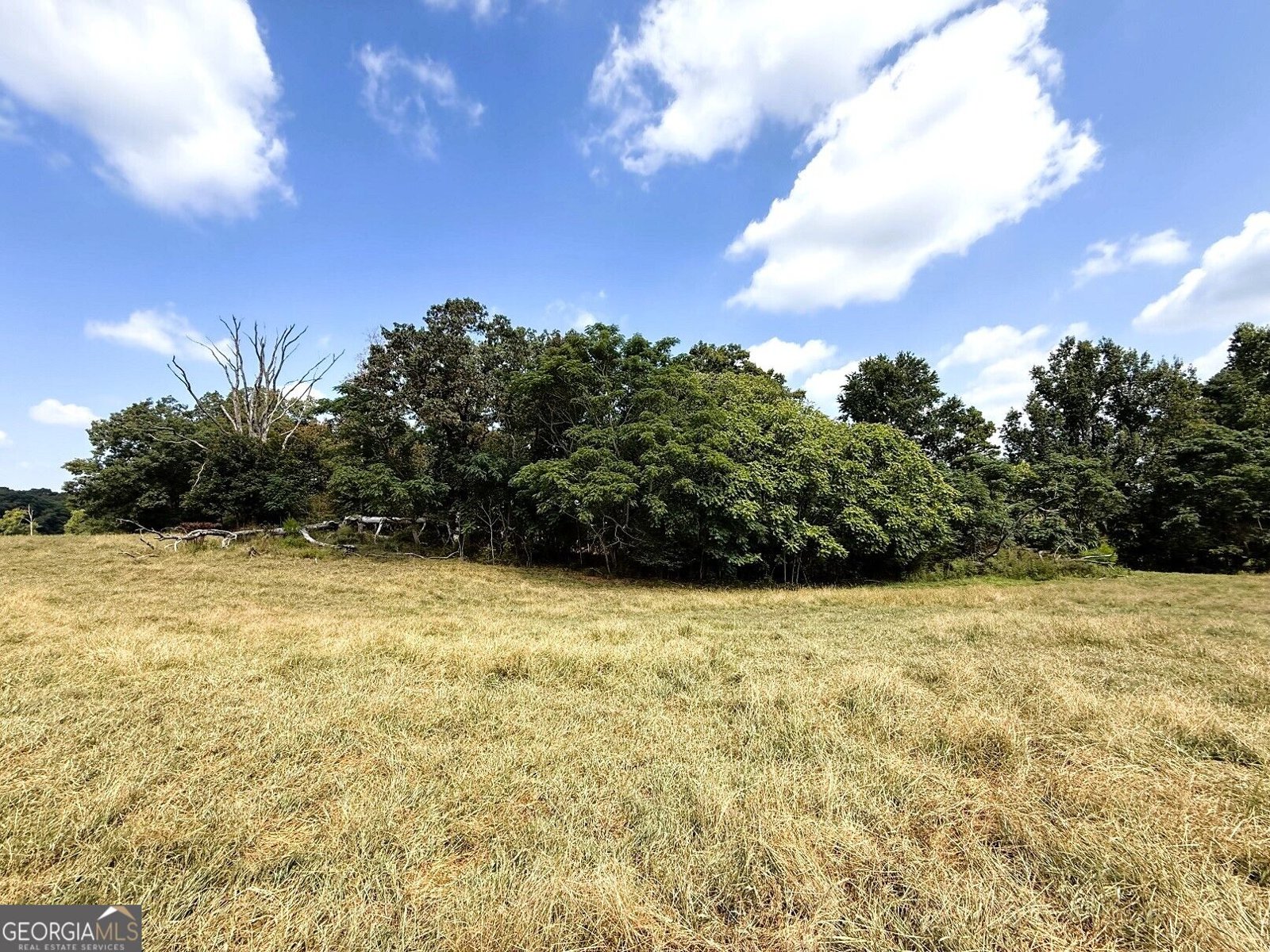 2000 Sandy Cross Rd Royston - Photo 20