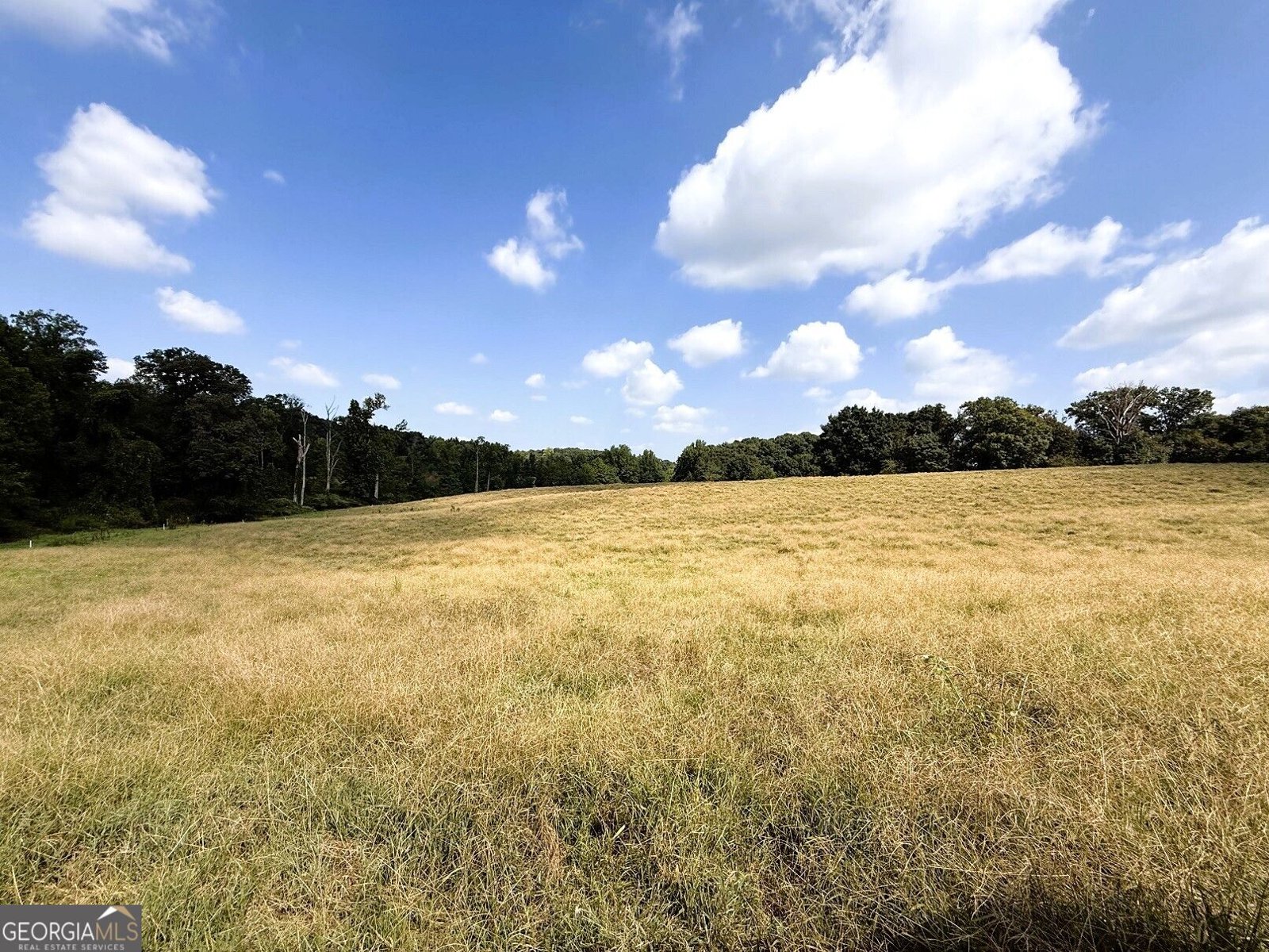 2000 Sandy Cross Rd Royston - Photo 23