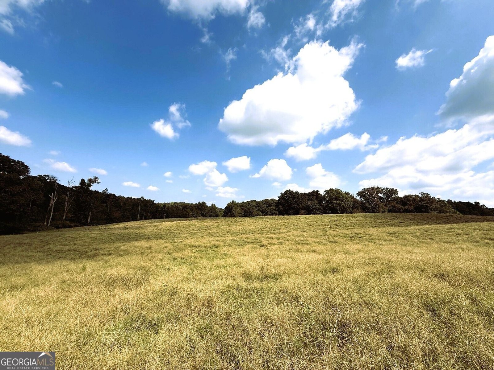 2000 Sandy Cross Rd Royston - Photo 24