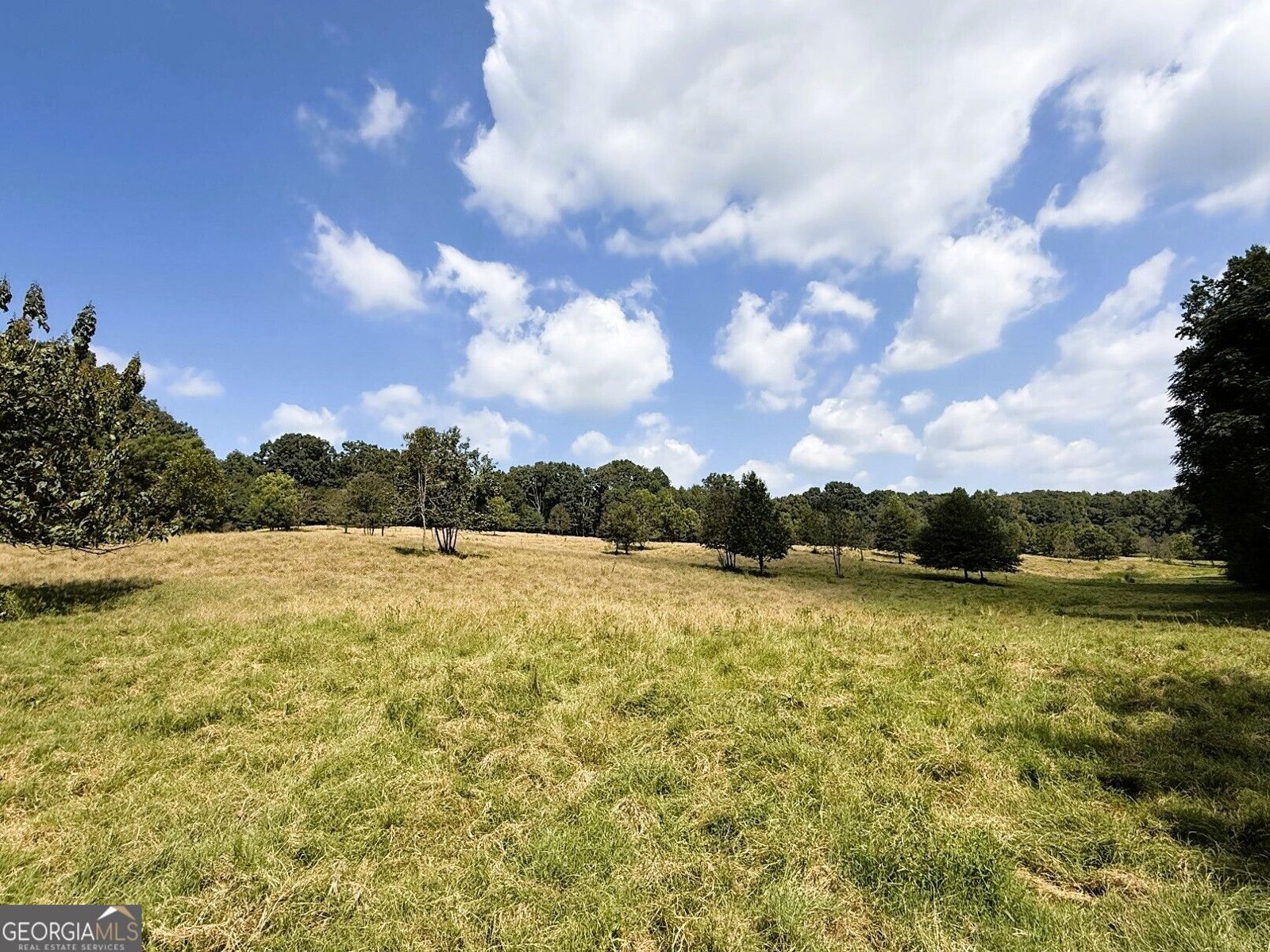 2000 Sandy Cross Rd Royston - Photo 29
