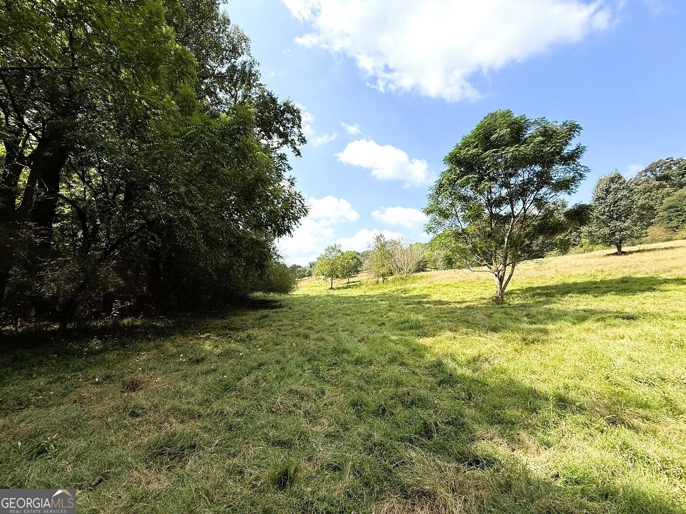 2000 Sandy Cross Rd Royston - Photo 32