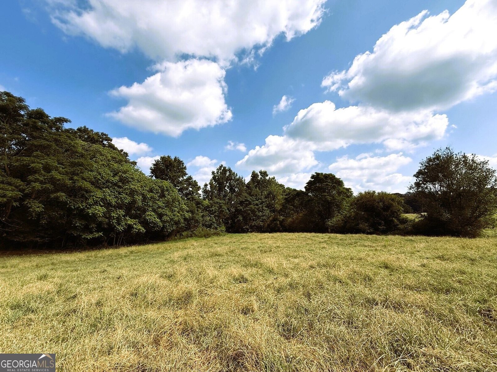 2000 Sandy Cross Rd Royston - Photo 8