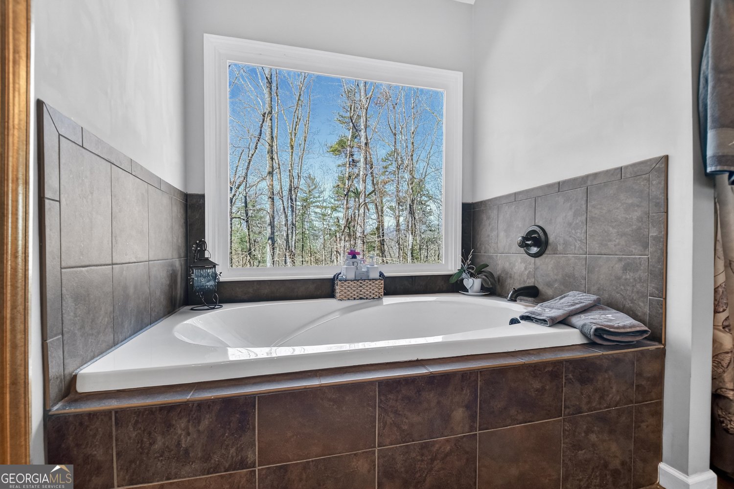 175 Mountain Springs Road Ellijay - Photo 31