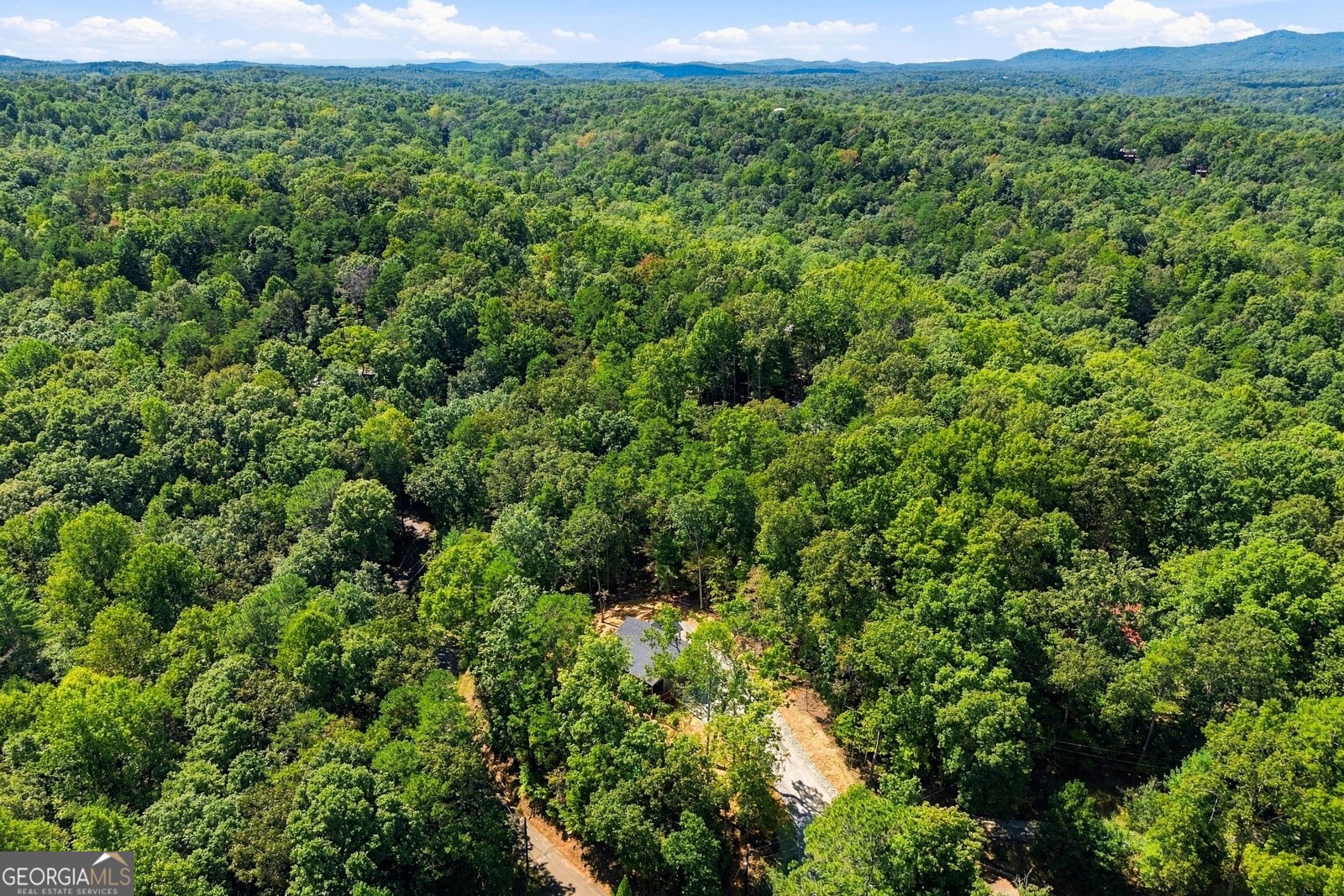 178 Spalding Circle Ellijay - Photo 47
