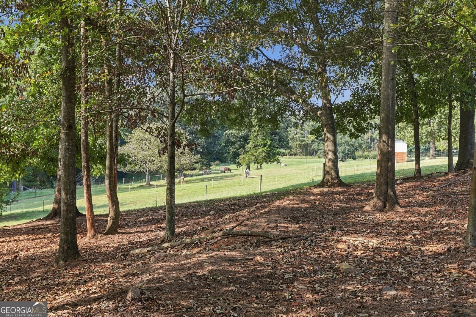 145 Gumlog Road Lavonia - Photo 51