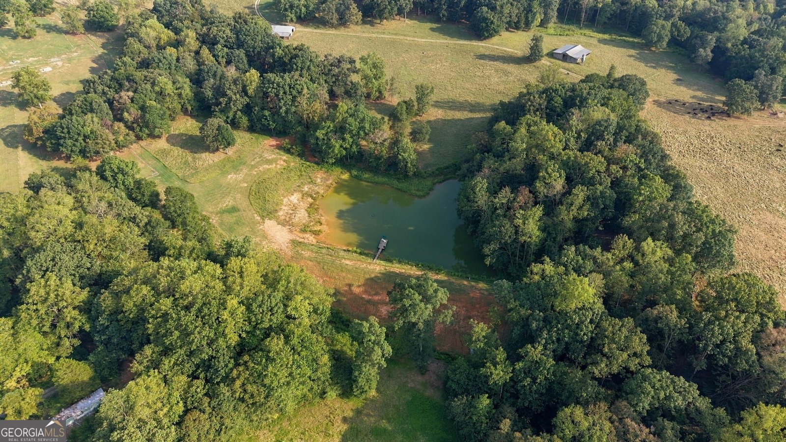 145 Gumlog Road Lavonia - Photo 58