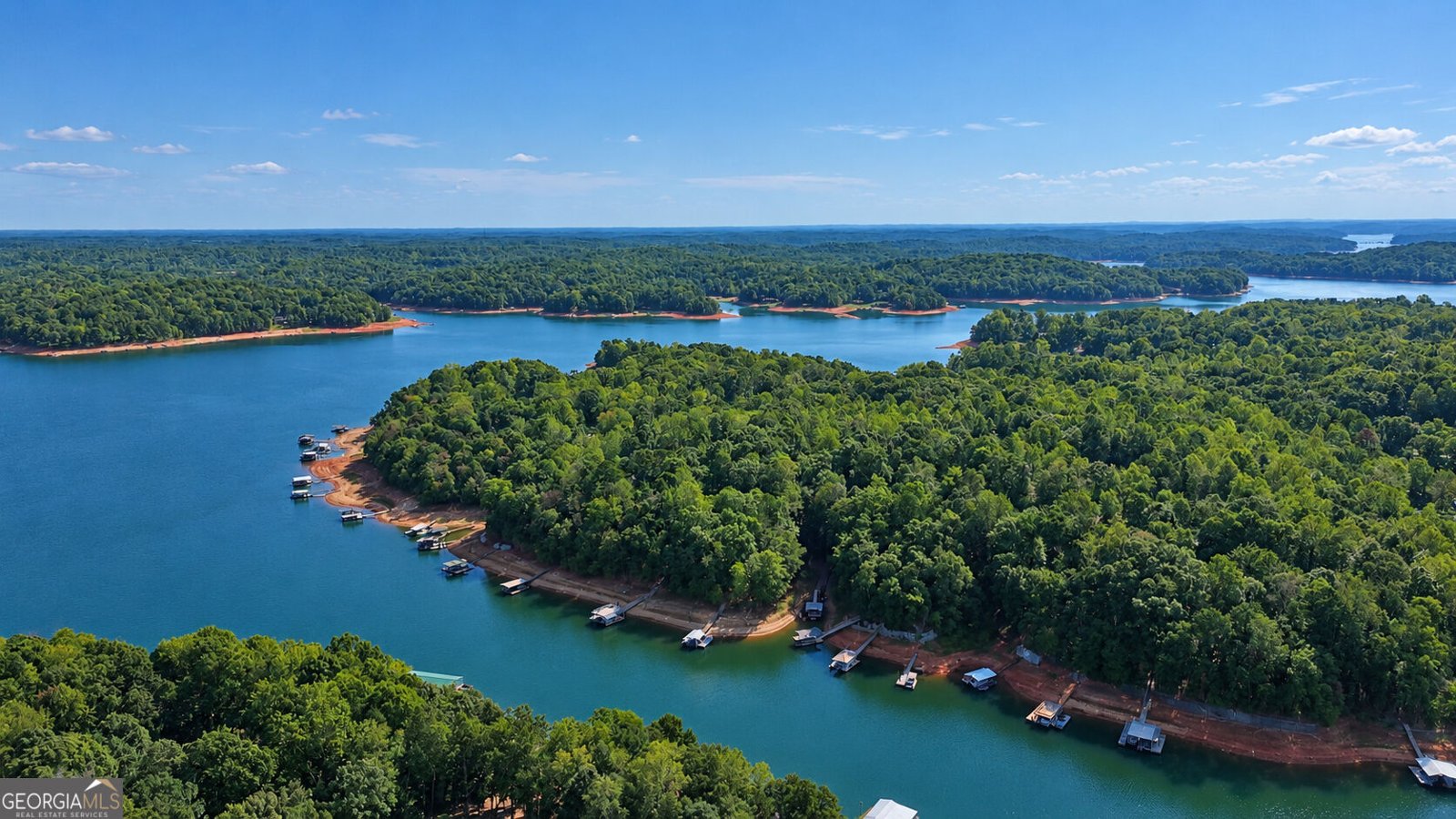 420 Lake Place Drive Lavonia - Photo 28