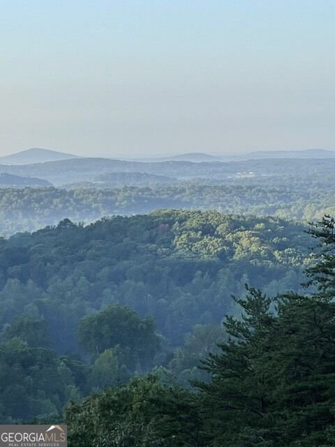 910 Foothills Drive Cleveland - Photo 7