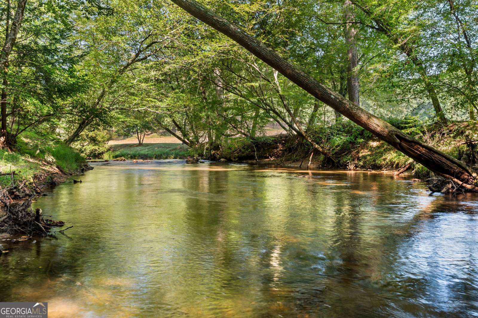 284 Major Ridge Road Blue Ridge - Photo 22