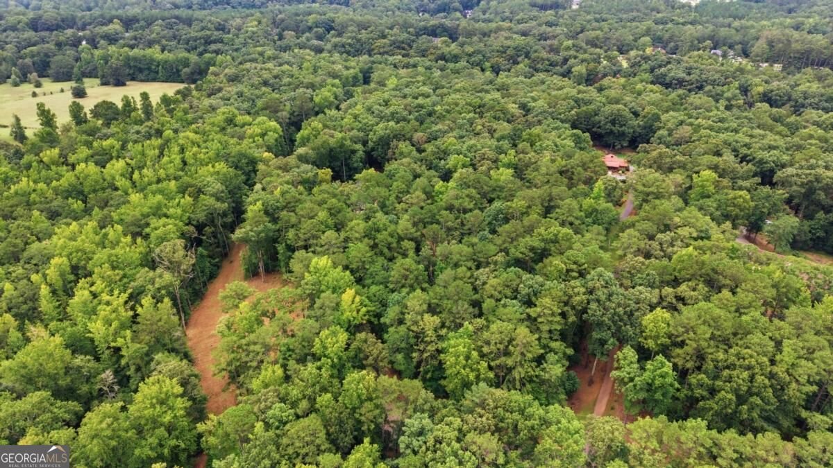 766 Kibbee Road Mcdonough - Photo 46