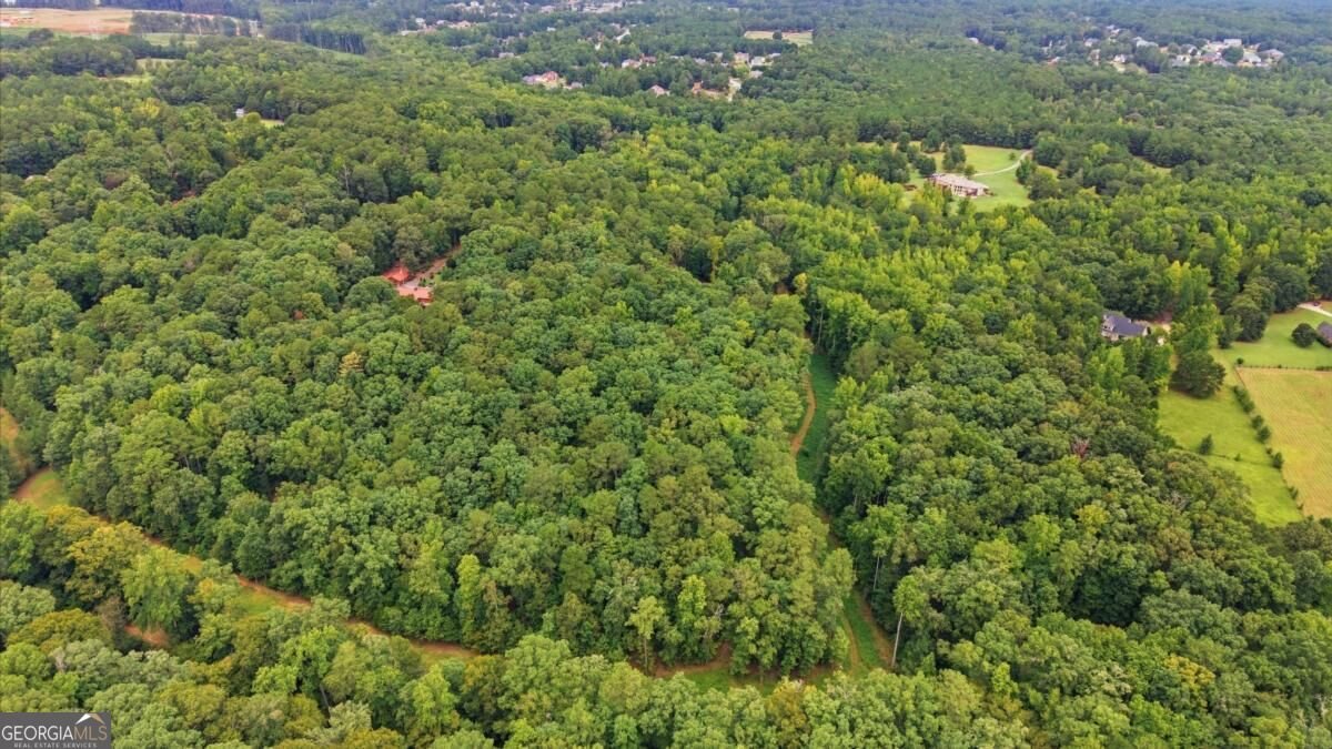 766 Kibbee Road Mcdonough - Photo 47