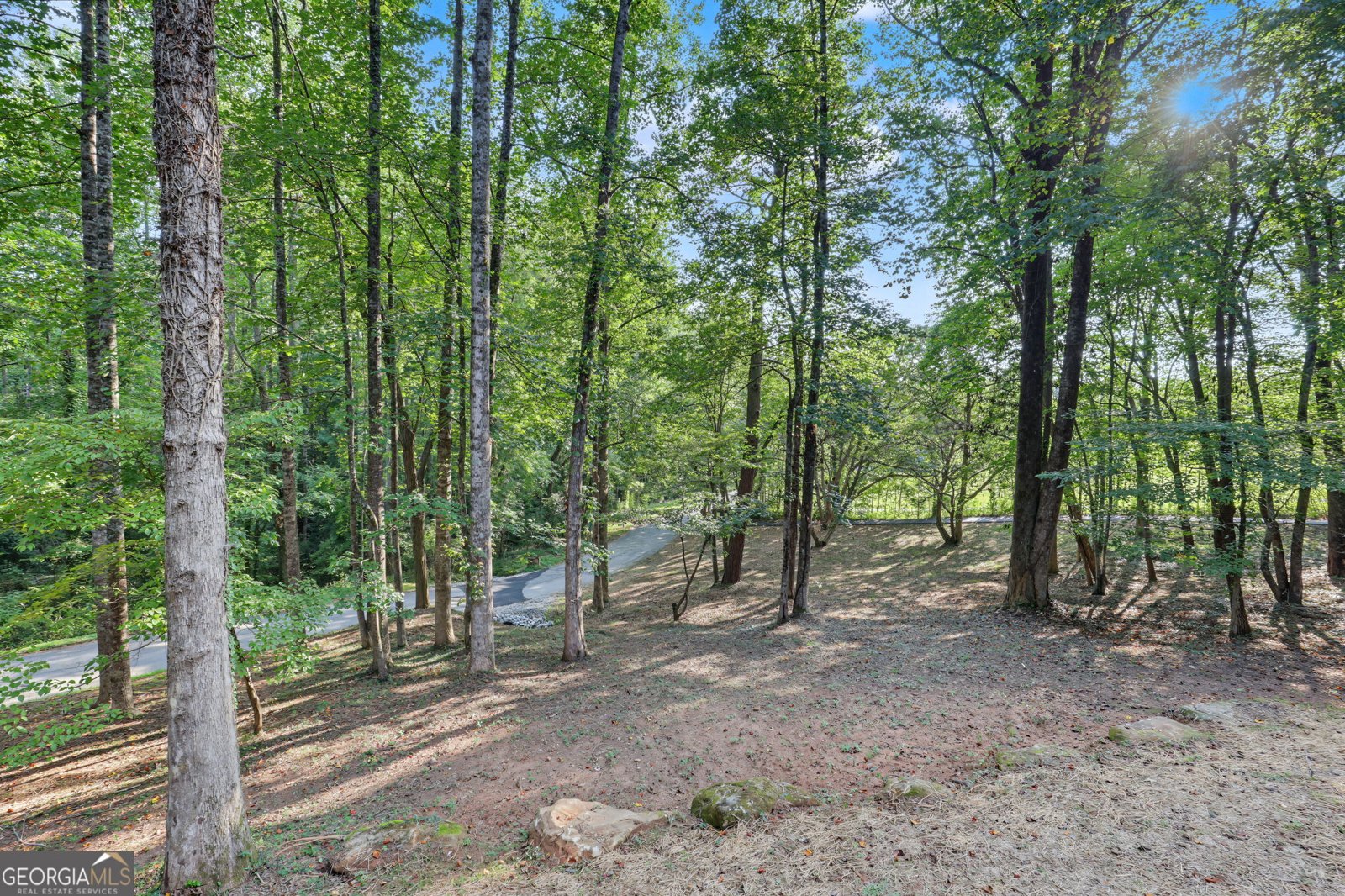 623 Deerfield Drive Clayton - Photo 9
