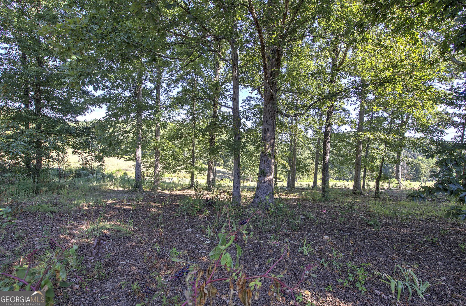 220 Connesena Road Kingston - Photo 49