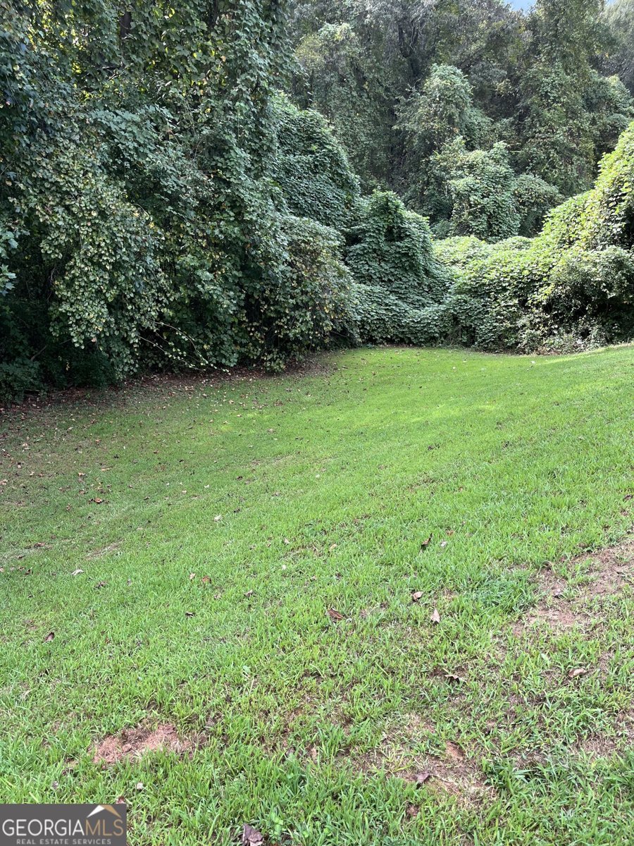 821 Freedom Walk Locust Grove - Photo 34