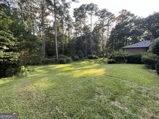 1920 Goode Road Conyers - Photo 48