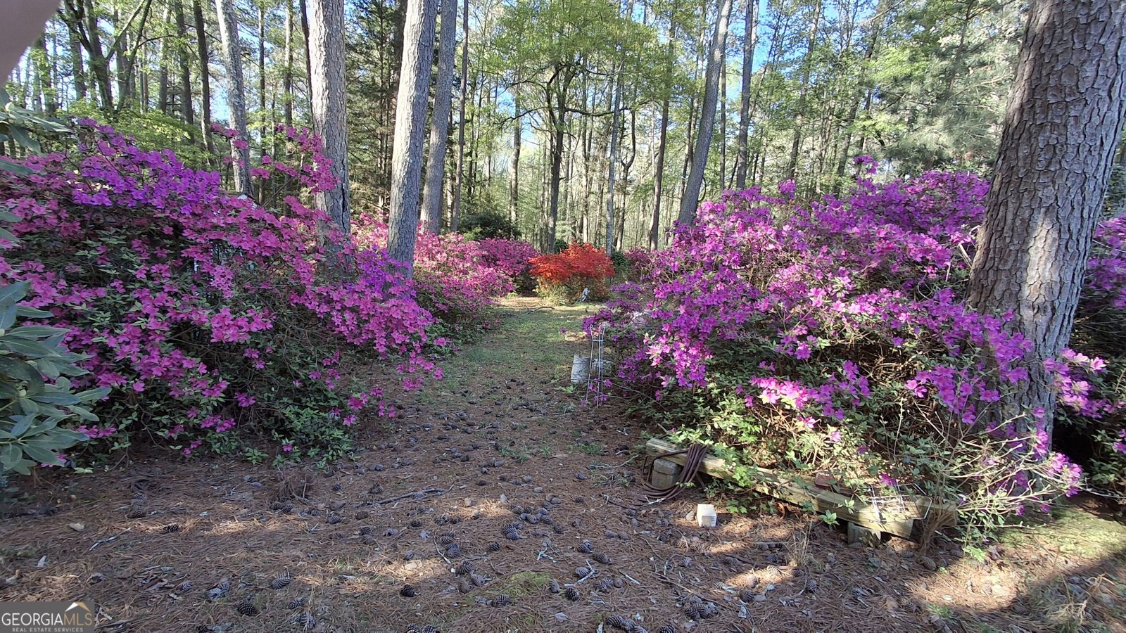 1920 Goode Road Conyers - Photo 53