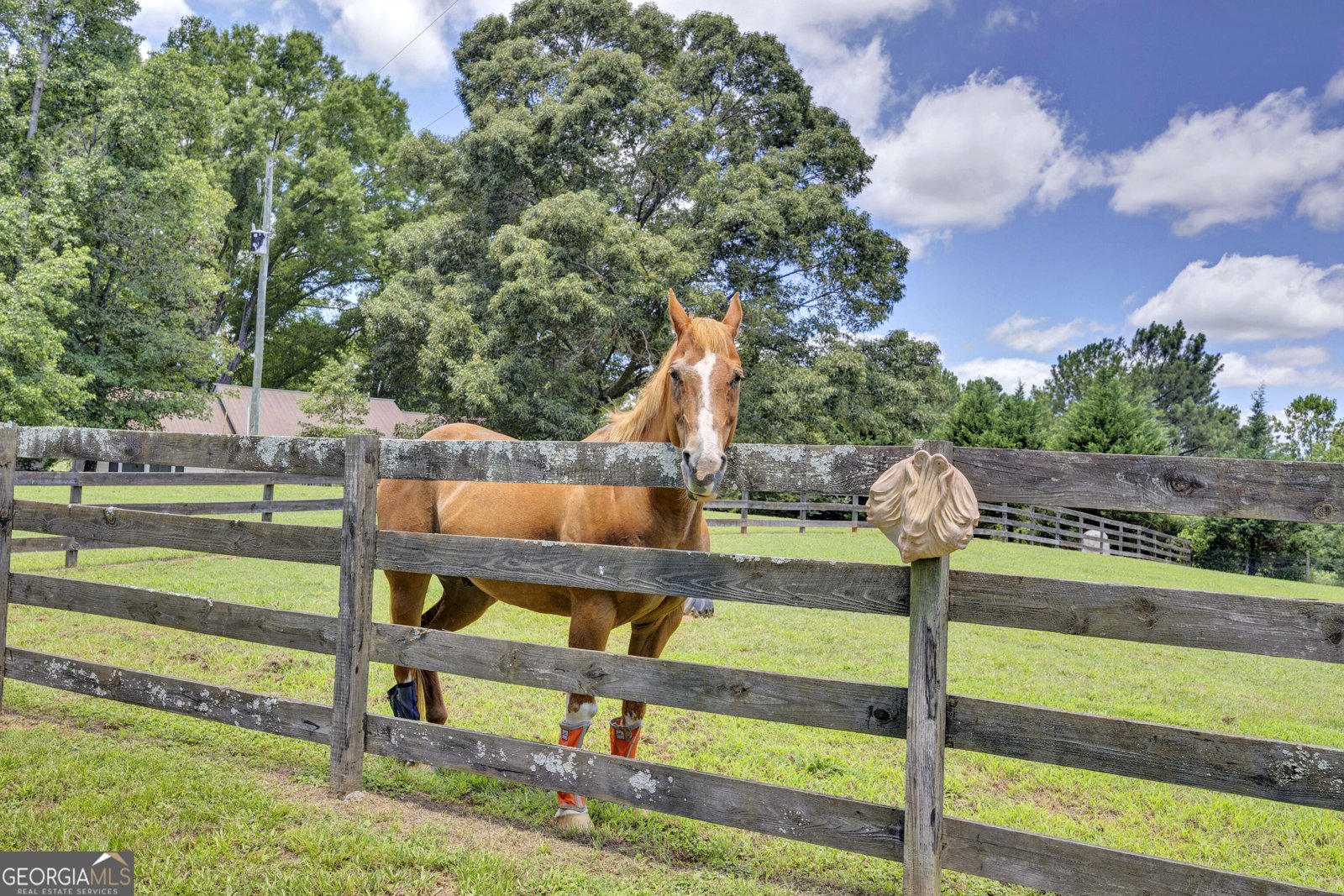 4133 HD Atha Road Covington - Photo 32