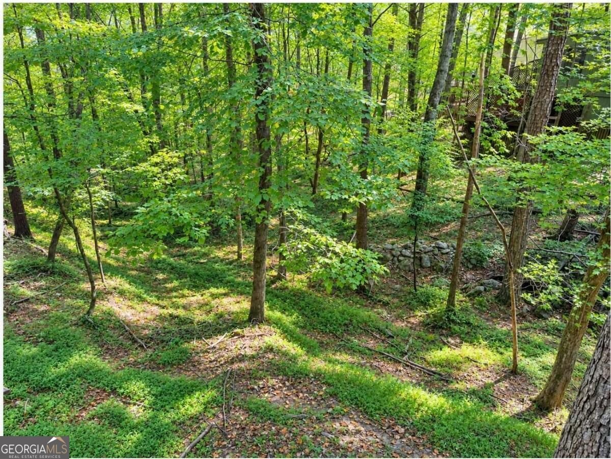110 Indian ridge Court Waleska - Photo 24