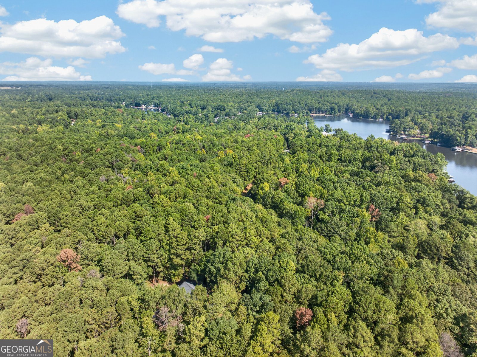 195 Montego Bay Road Milledgeville - Photo 41