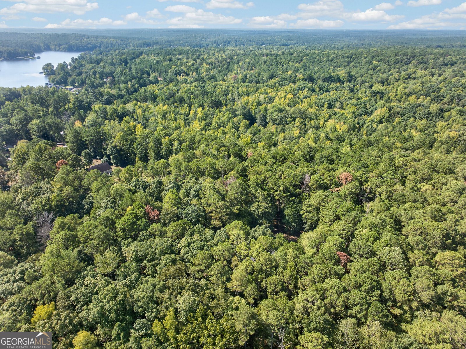 195 Montego Bay Road Milledgeville - Photo 47