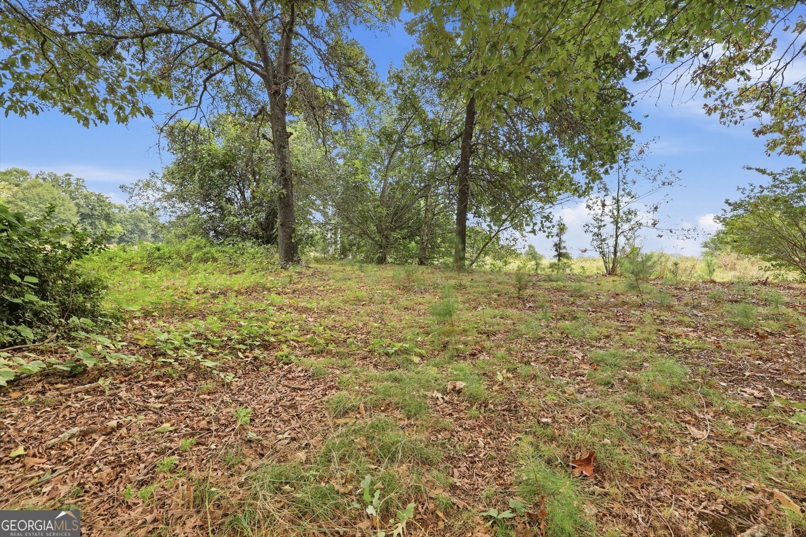 6214 Helen Street Lula - Photo 54