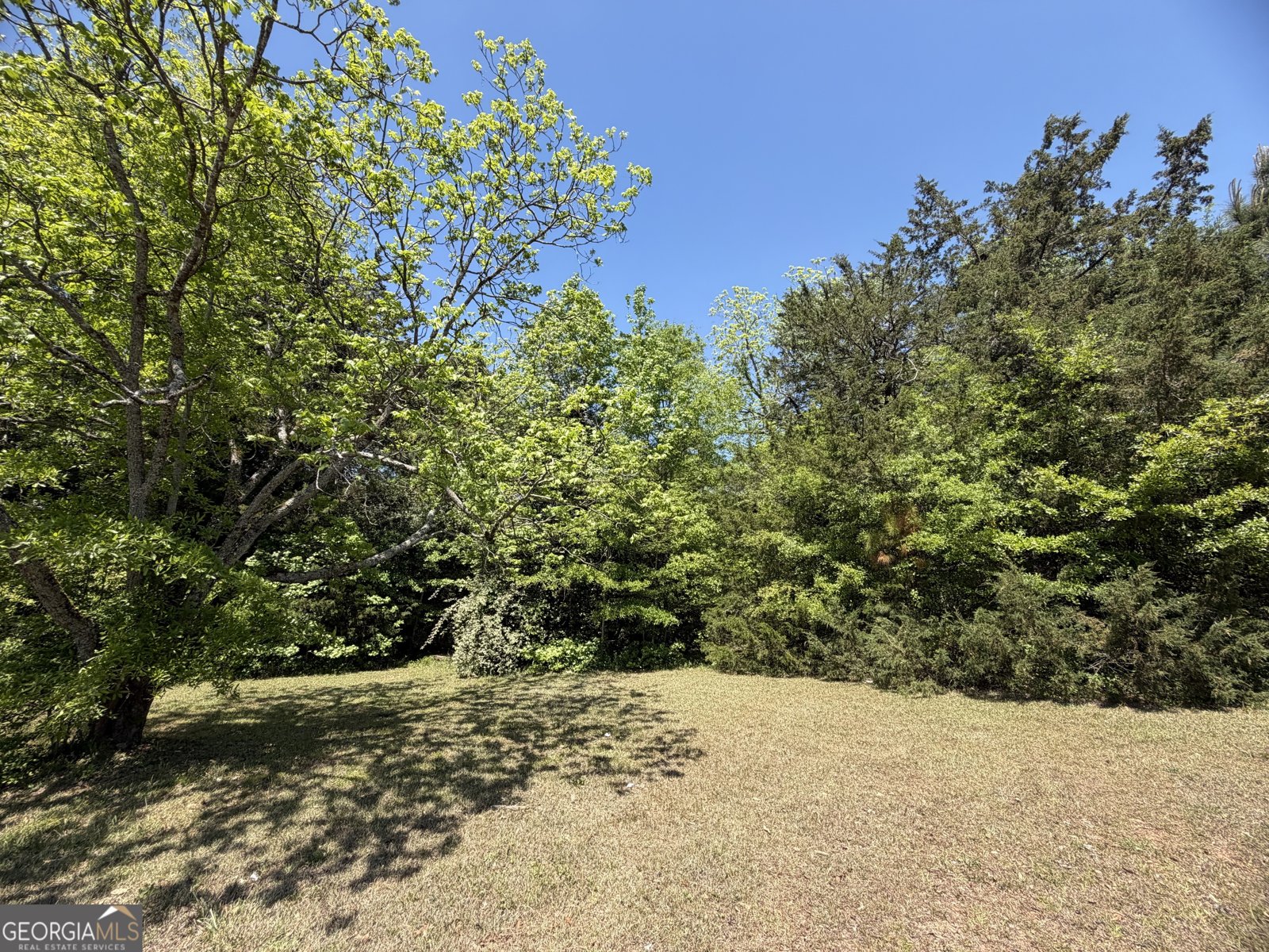 276 Oglesby Bridge Road Conyers - Photo 12