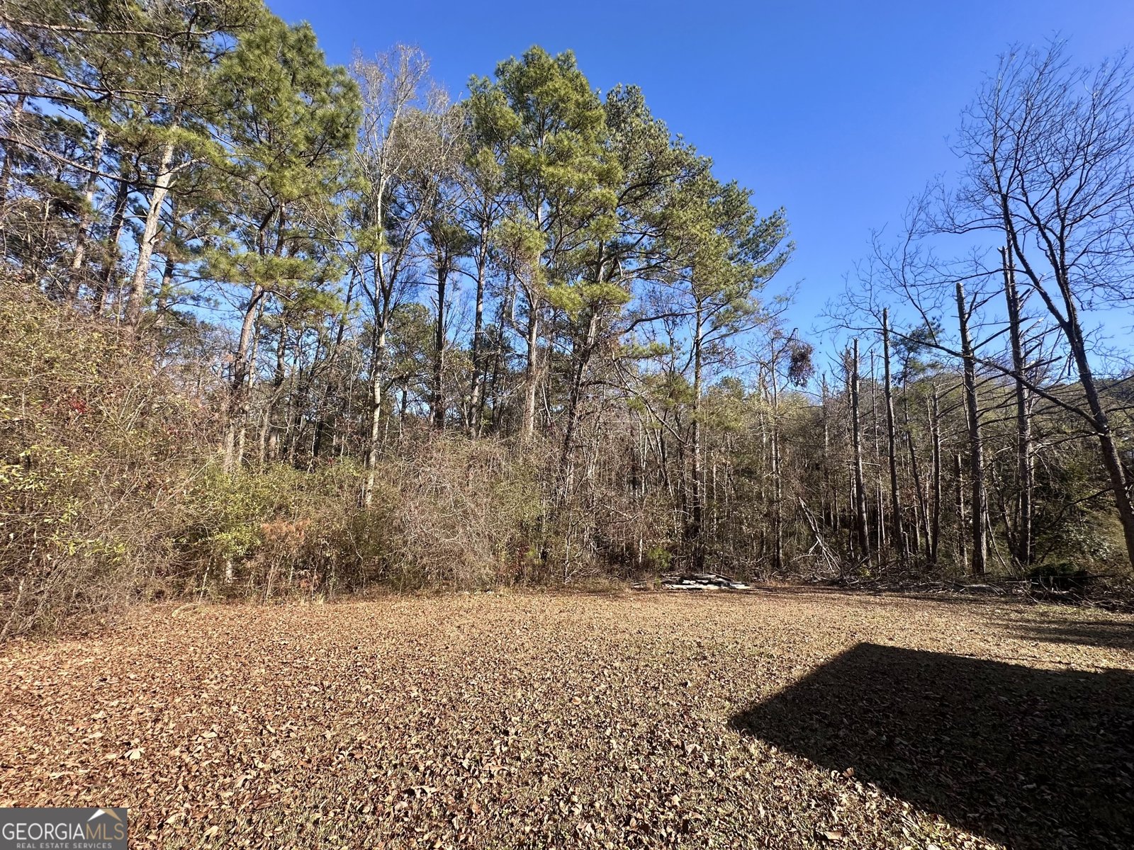 276 Oglesby Bridge Road Conyers - Photo 15