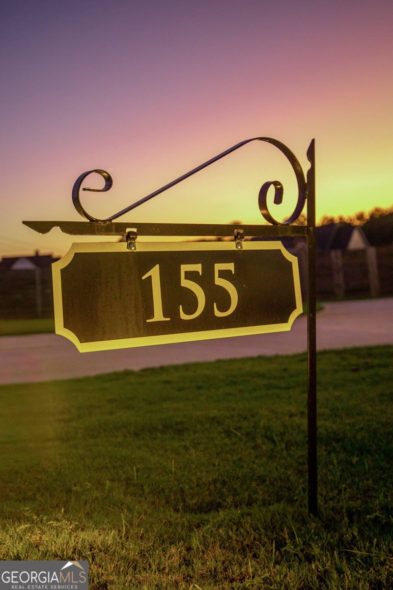 155 Graceton Farms Dr Senoia - Photo 64