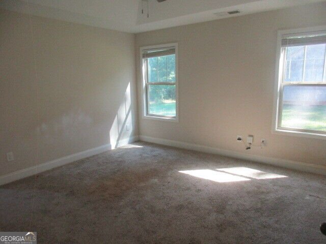 123 Needleleaf Court Barnesville - Photo 10
