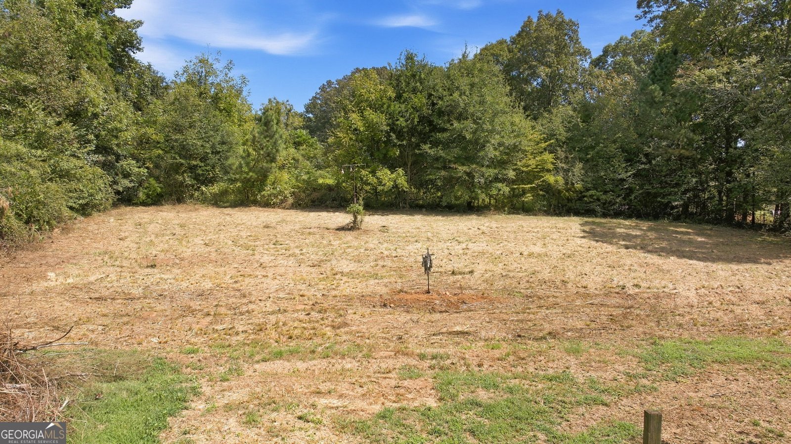 2124 Highway 105 Demorest - Photo 6