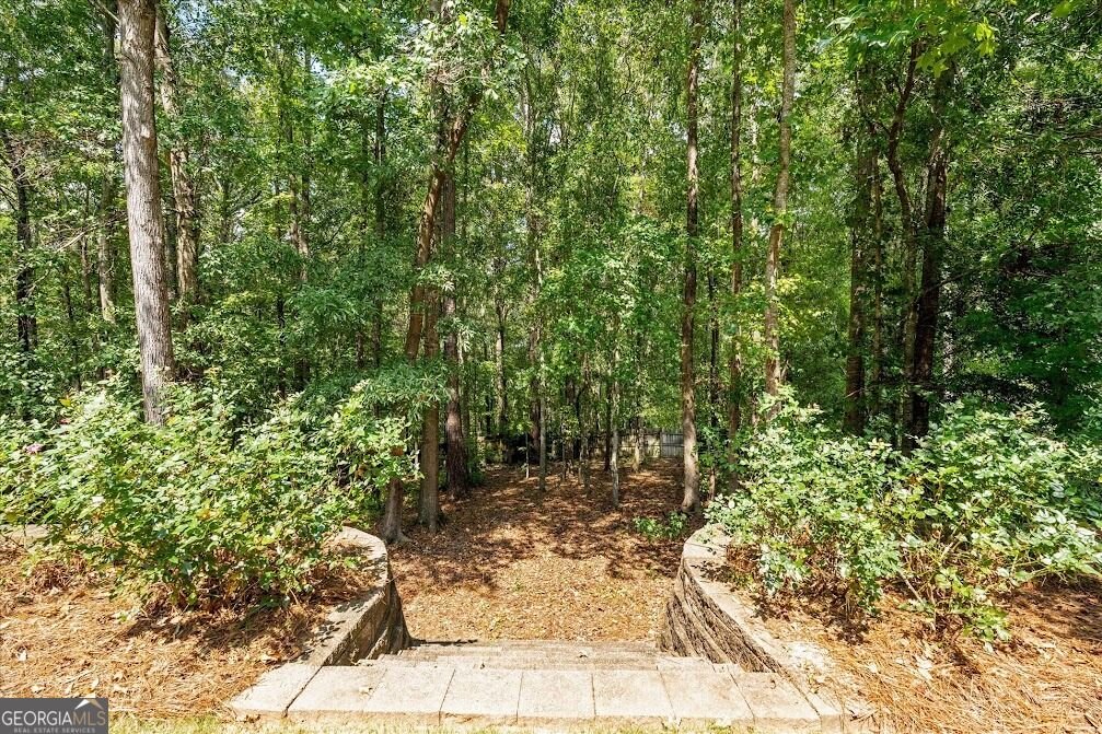166 Westminster Way Newnan - Photo 37