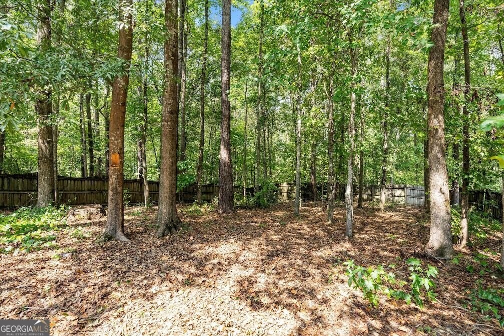 166 Westminster Way Newnan - Photo 38