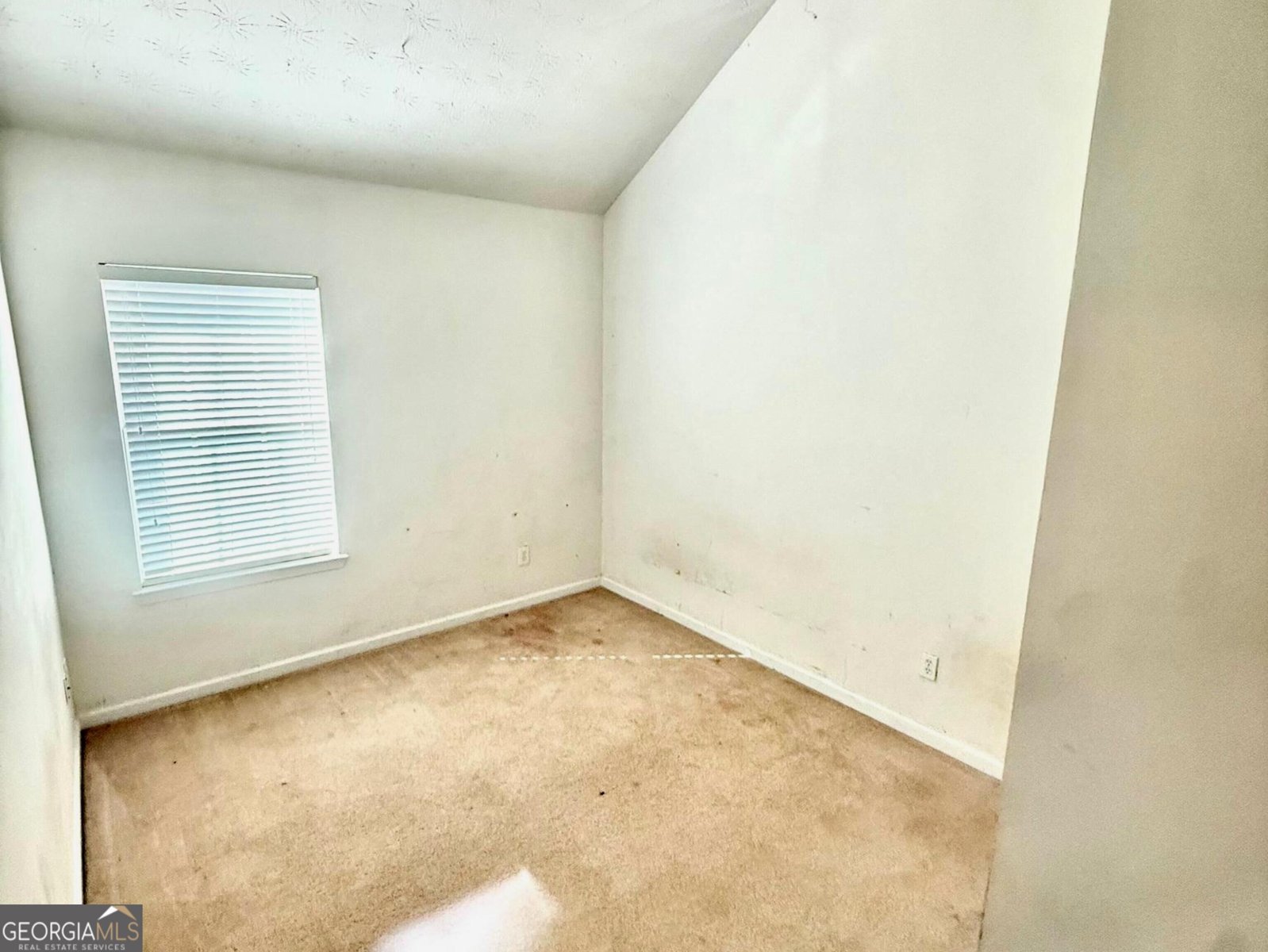 1217 Polk Crossing McDonough - Photo 17