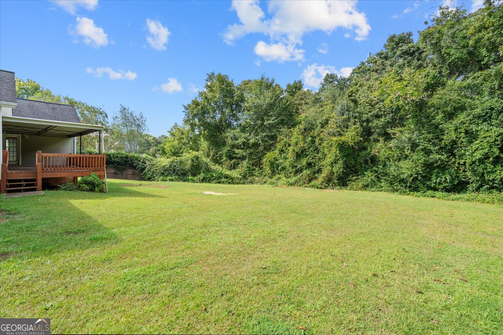 4295 Yeager Road Douglasville - Photo 33