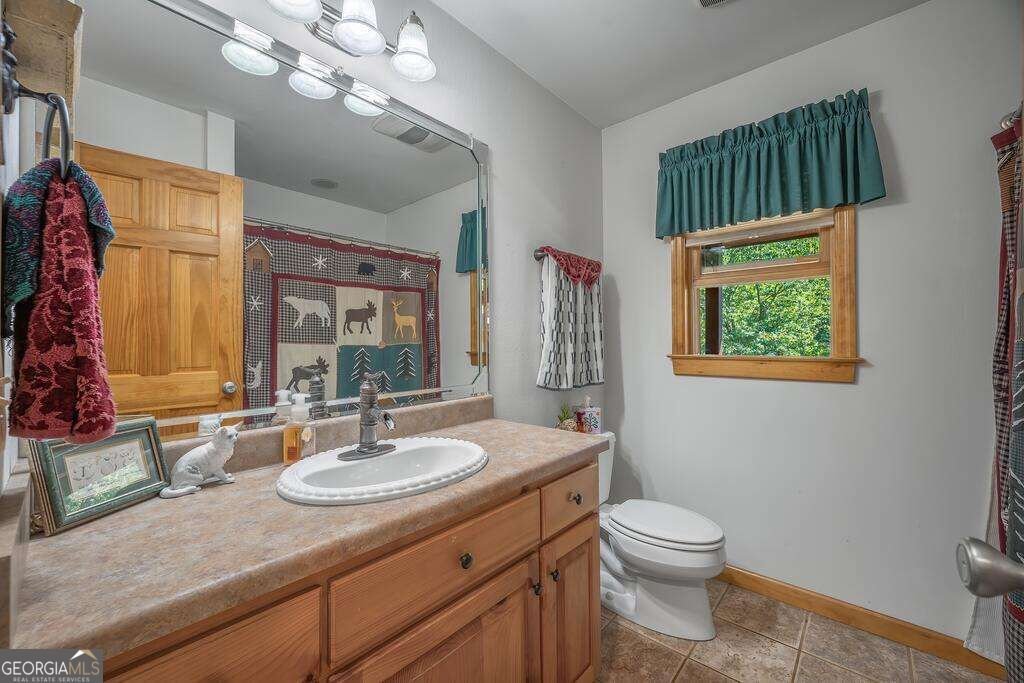 320 Mossy Creek Trail Murphy - Photo 29